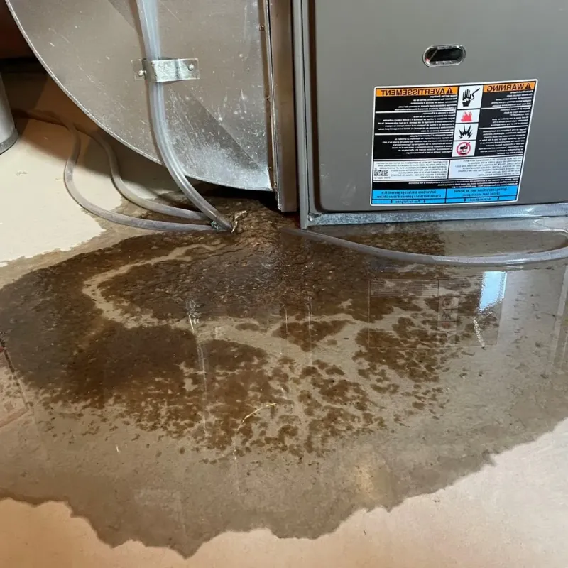 Pipe Burst and Leak Restoration in Pinch, WV