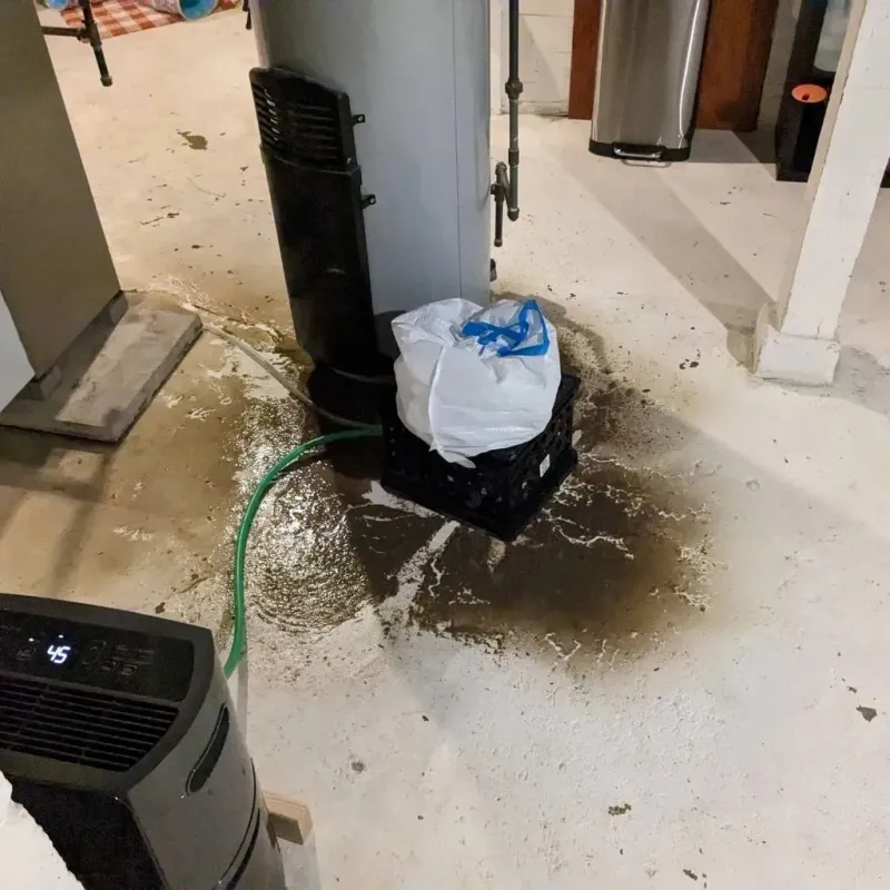 Sewage Backup Cleanup Service in Pinch, WV